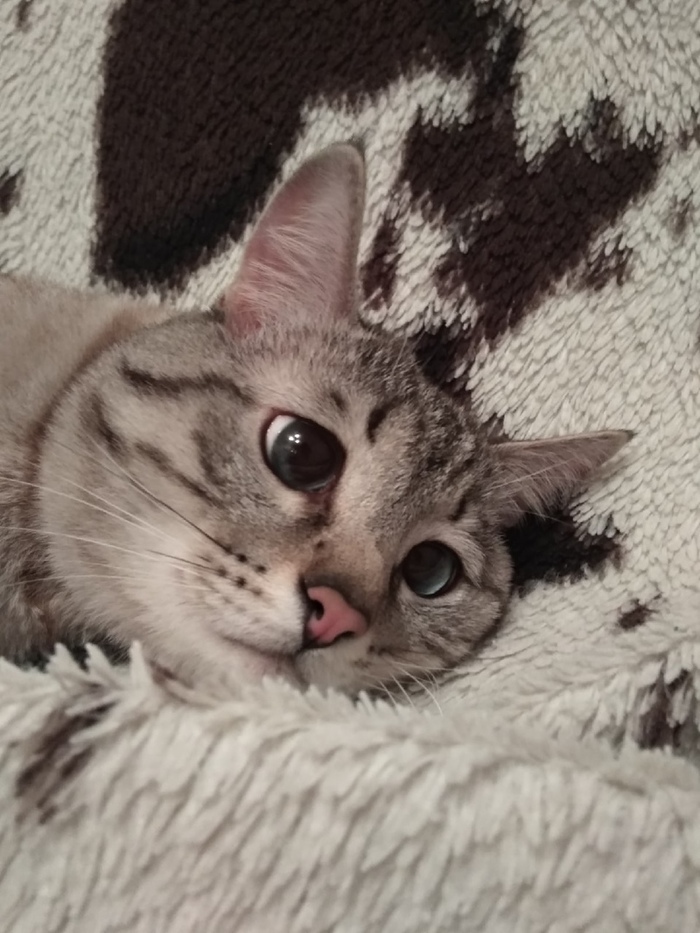    ... , ,  ,  