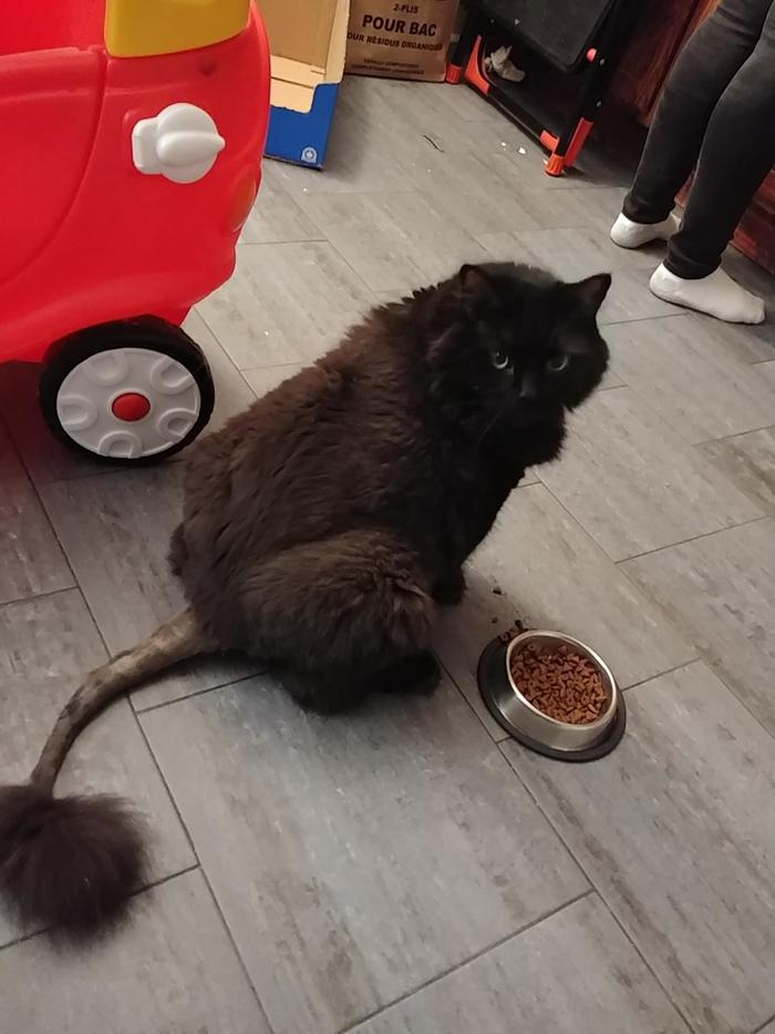 Как перестать орать?