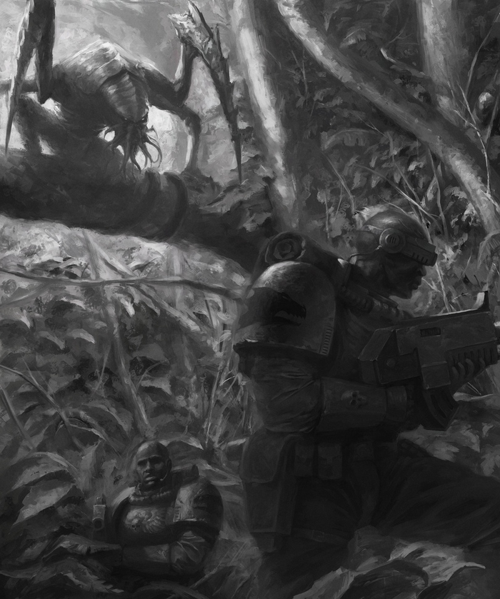 Фатальная невнимательность