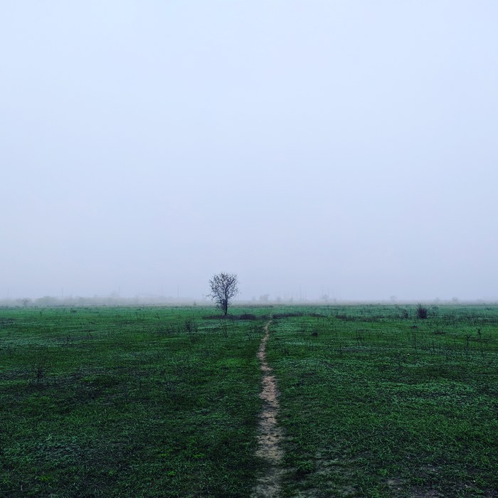 � �� ���� �������������� ���� �����