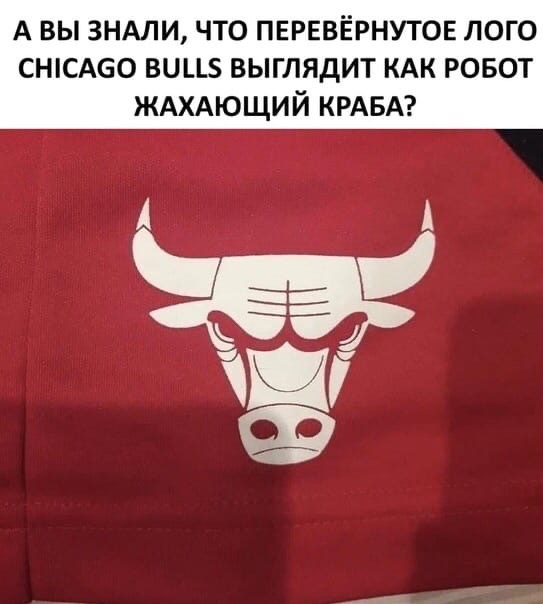 Жахает или читает? - Chicago bulls, Логотип