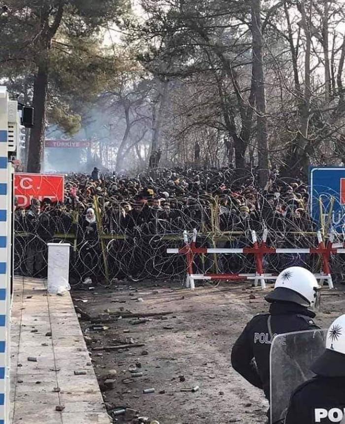 ����������...