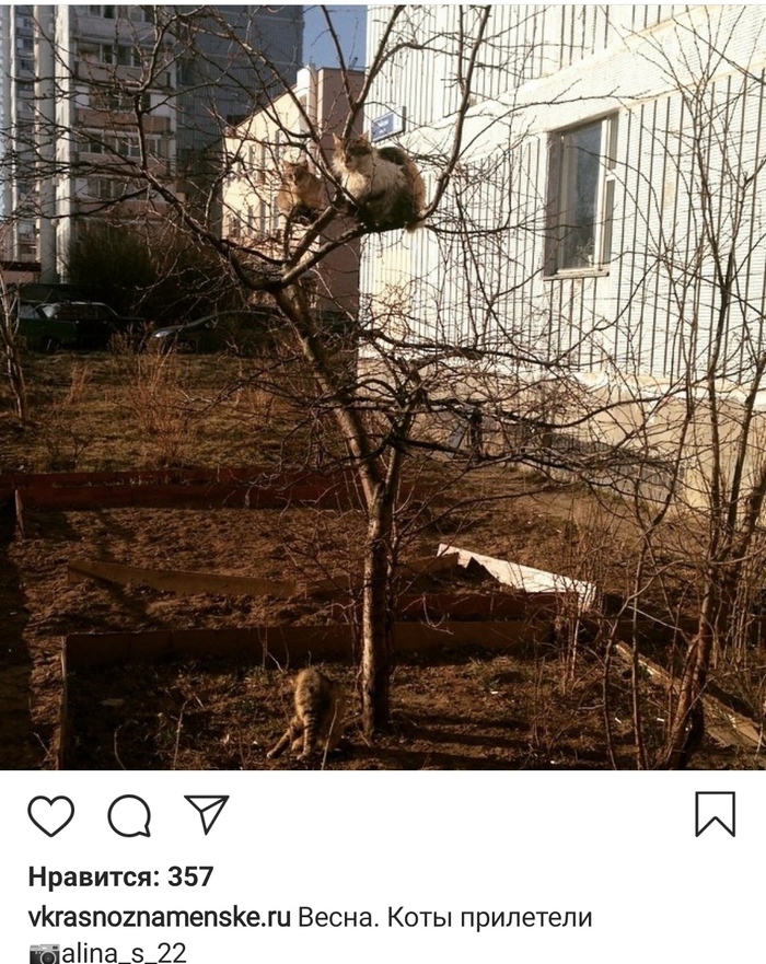 ...     , , , 