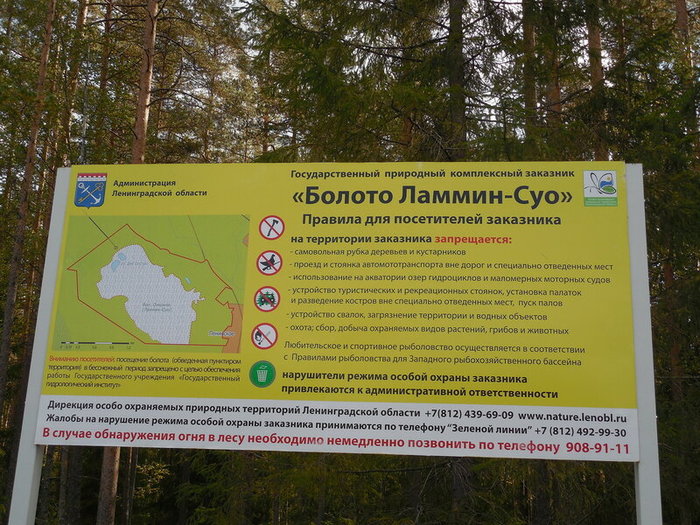Болото ламмин суо как добраться на машине