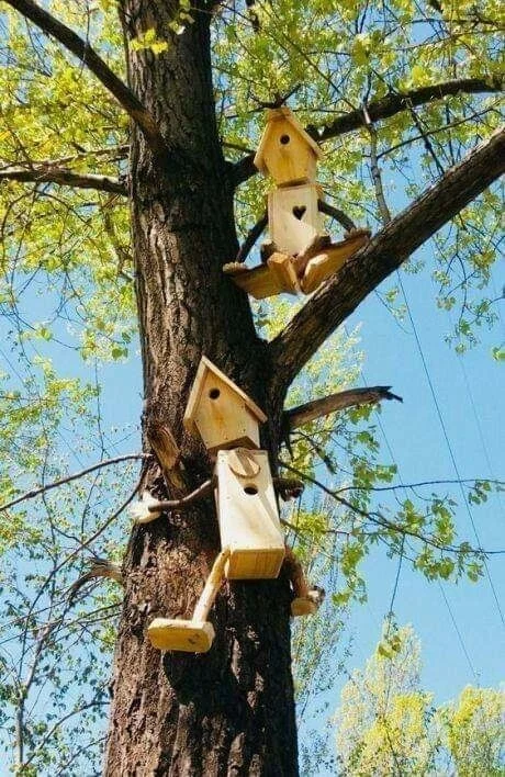 Very creative - Humor, The photo, Positive, Birdhouse