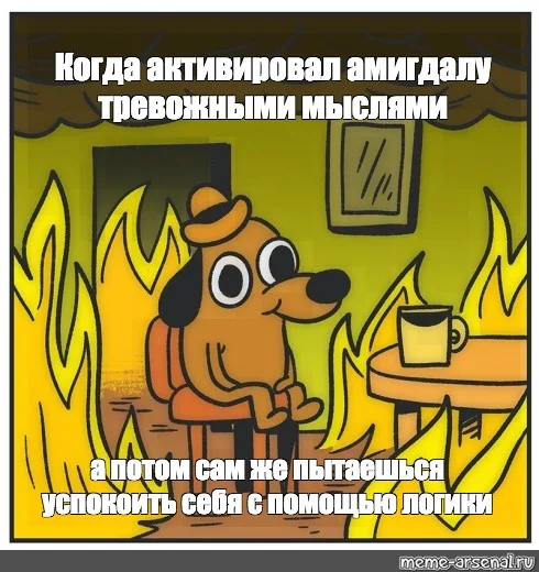 Как побороть тревогу и страх: 5 эффективных инструментов - Моё, Тревога, Мозг, Психология, Психотерапия, Страх, Гифка, Длиннопост