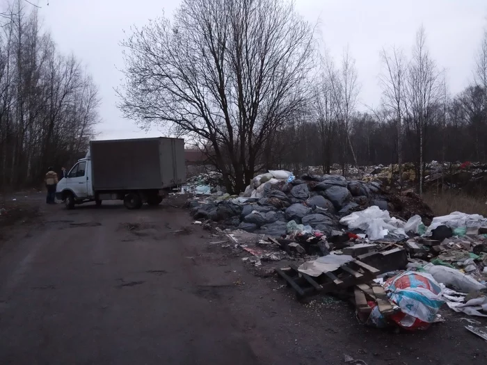 Dumping garbage in the city - My, Garbage, Dump, Longpost