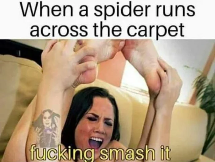 Spider - Spider, Memes, Girl