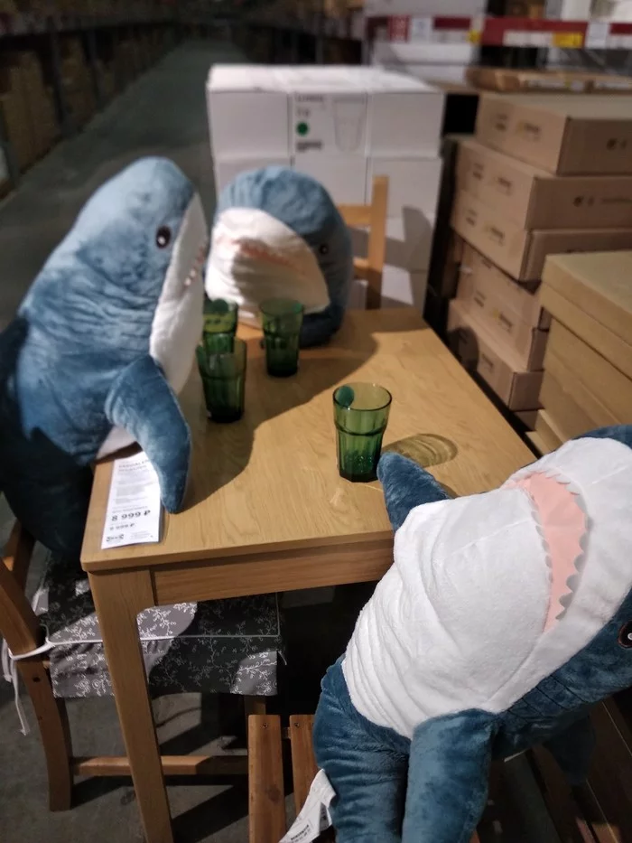 Late night conversations in the kitchen - My, IKEA, The photo, Humor, Shark, Blohey