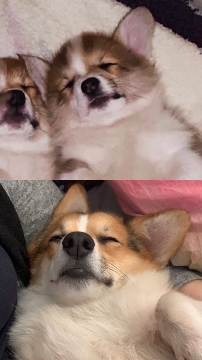 Остановись, мгновенье, ты прекрасно!