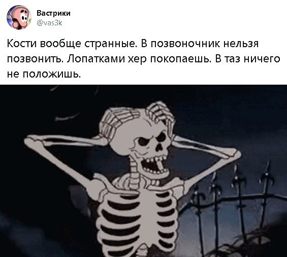 Ох эта ананатомия...