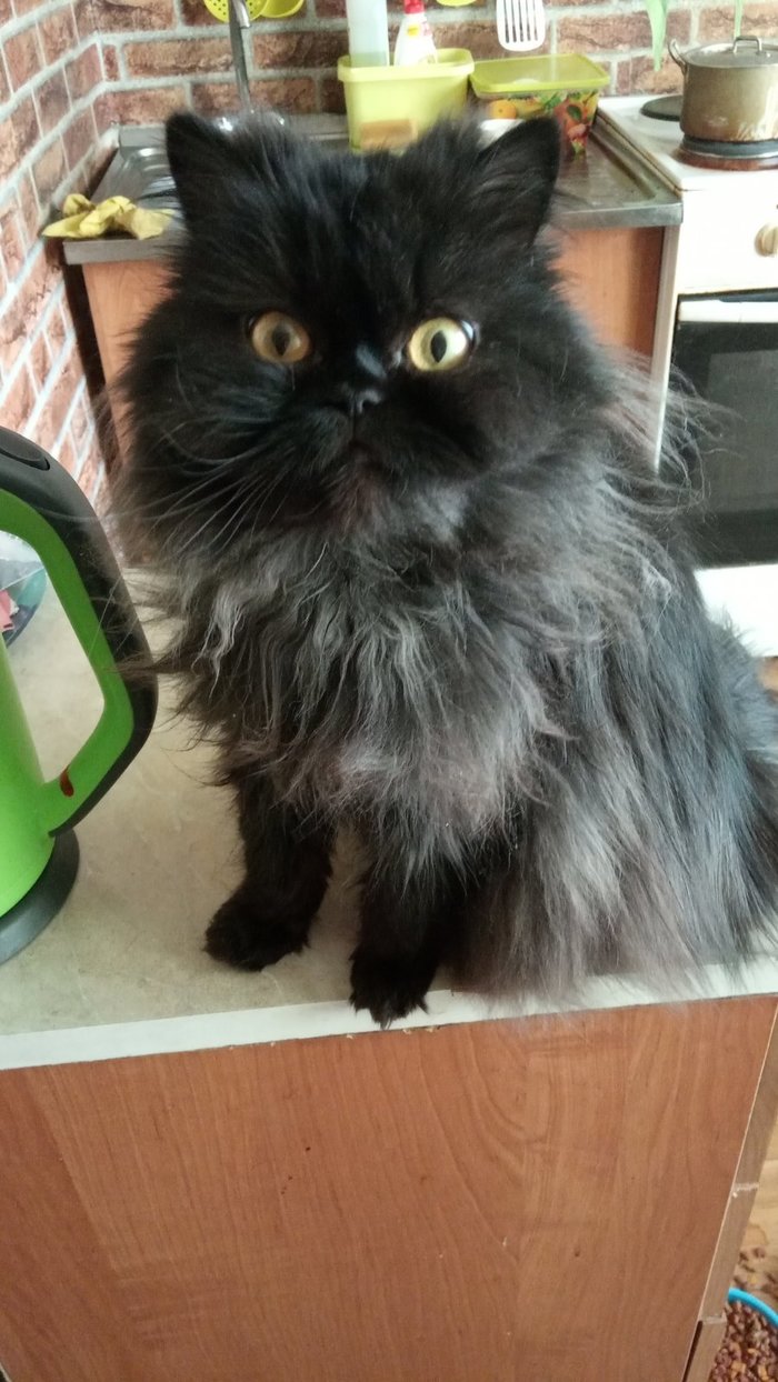 ����� �������� ��������� ��� ����