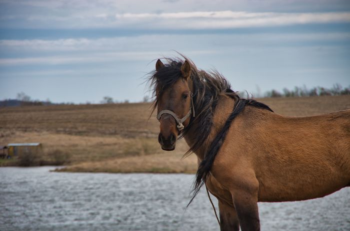 autumn spring - My, I want criticism, Pentax K-5, Bashkortostan