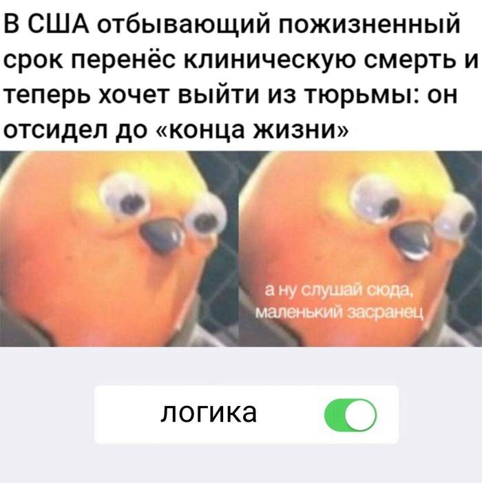 Мой дозор окончен