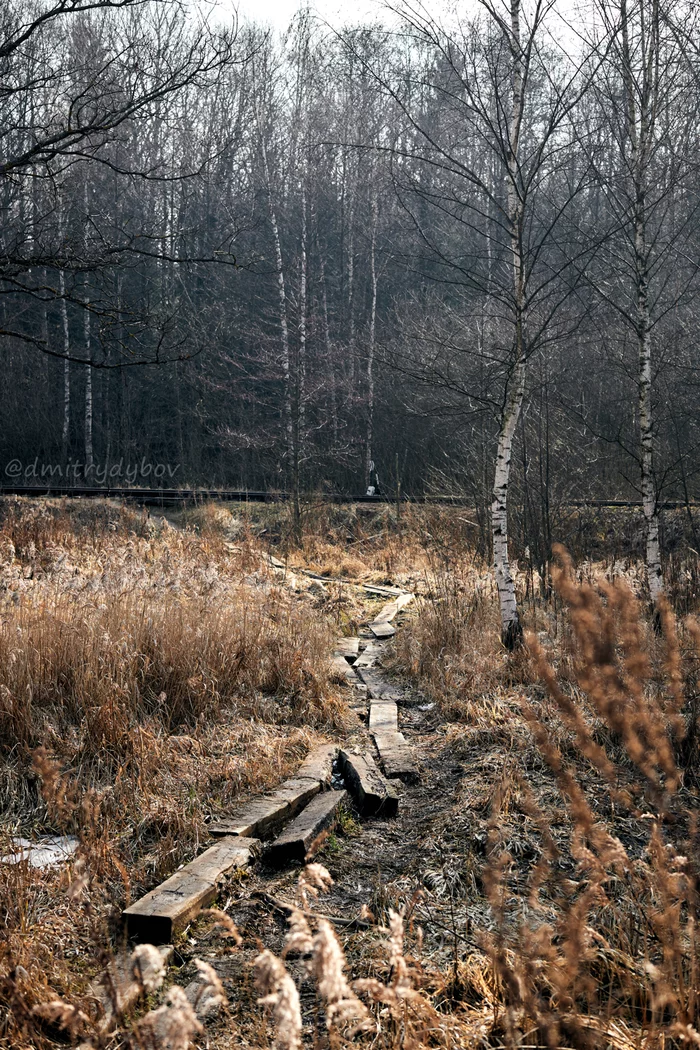 Workers' Trail - My, The photo, Path, Swamp, Railway