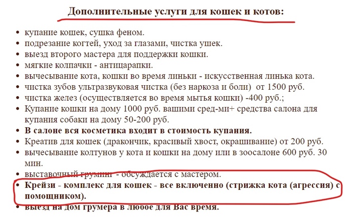 Омагад, киса, ты что крейзи