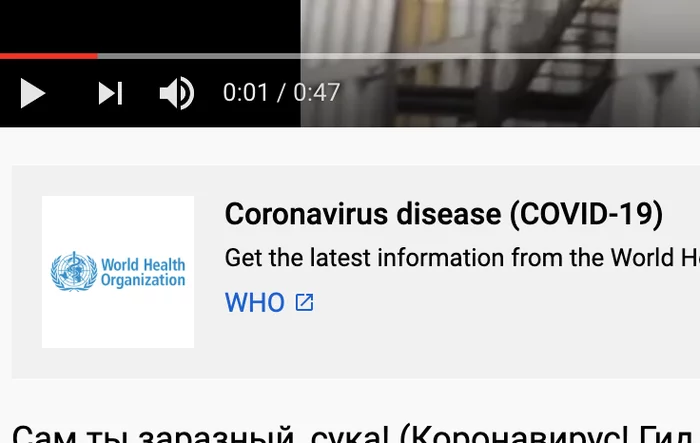 YouTube informs about the coronavirus - My, Youtube, Coronavirus, Video, Krasovsky