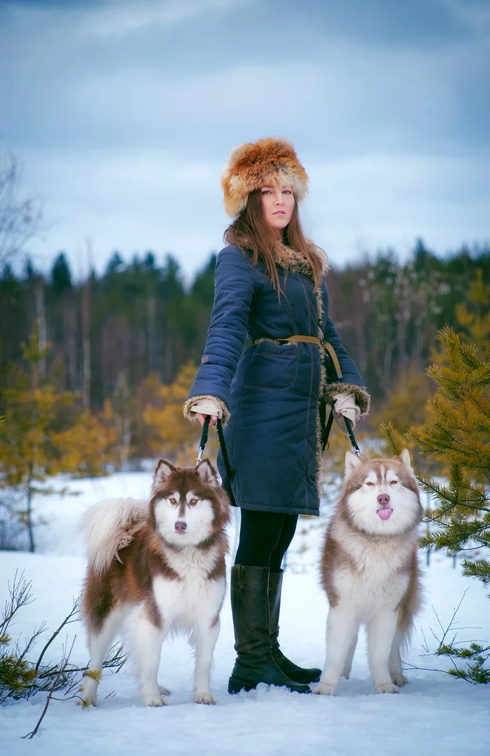Photo sessions with husky dogs - My, Husky, Nature, Winter, Girls, PHOTOSESSION, Longpost