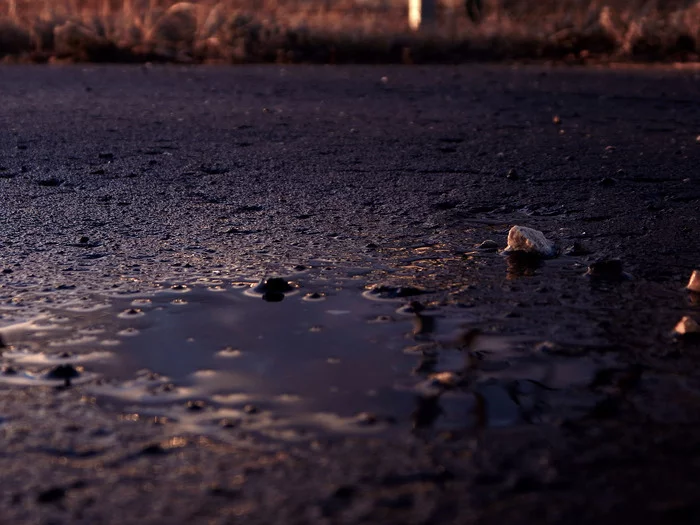 Evening - My, Rain, Evening, Wet asphalt, The photo