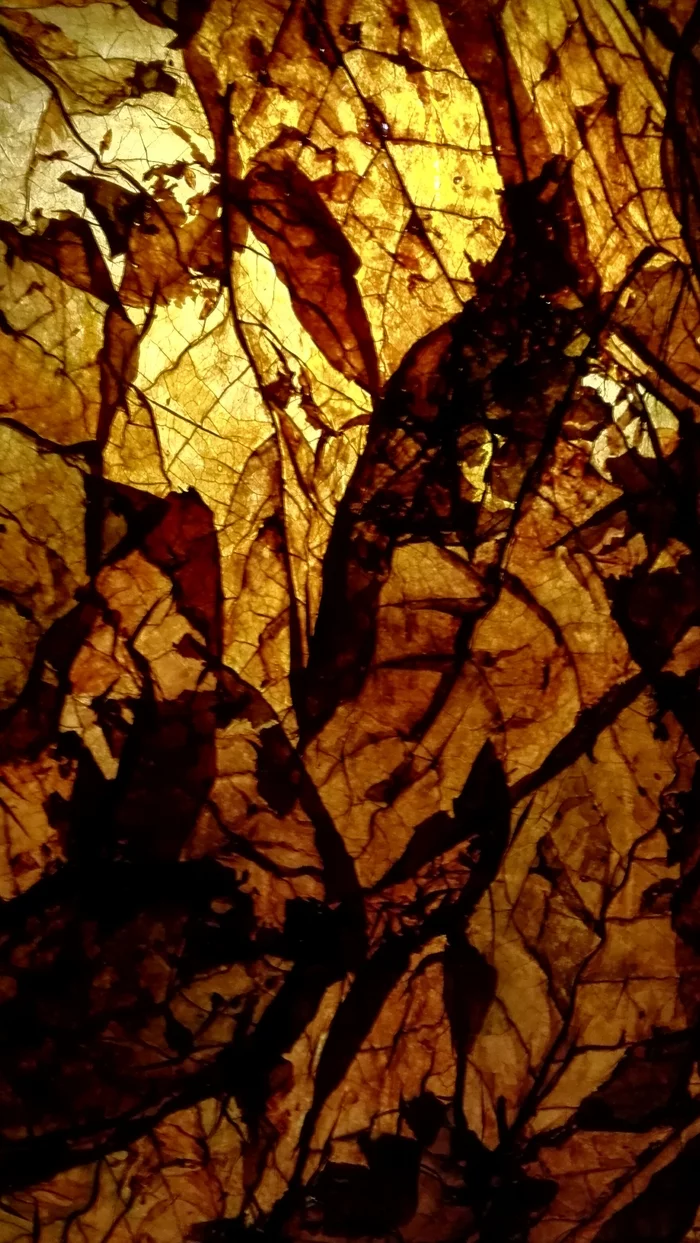 Tobacco leaves in a stained glass window - My, Hobby, Leaves, Table, Idea, Longpost, Hookah