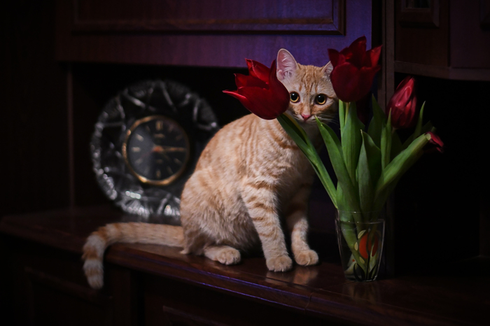 ���� ����� � �����!!