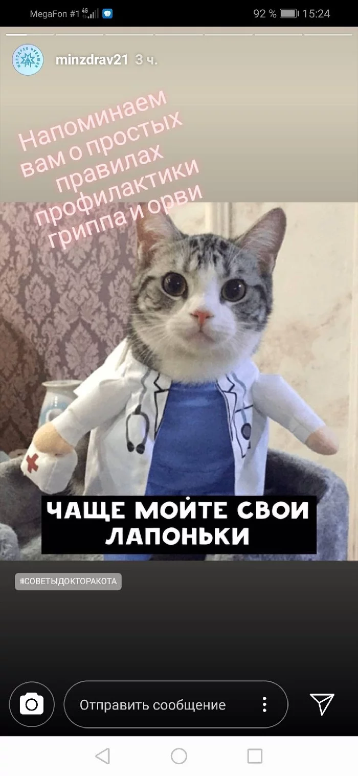 Advice from the Chuvash Ministry of Health - Chuvashia, ARVI, Flu, Prophylaxis, Ministry of Health, Instagram, Longpost, cat