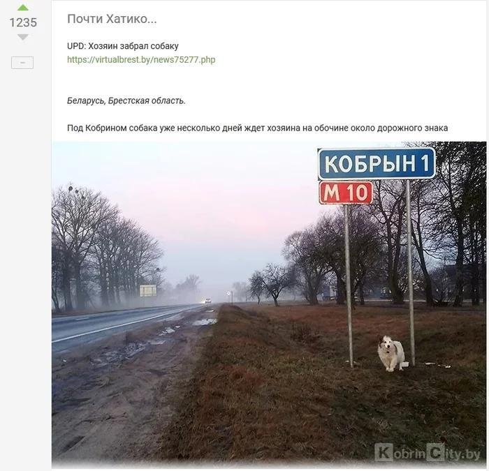 The dog, which had been waiting for its owner near the sign at the entrance to Kobrin for 5 days, finally waited for him - Hachiko, Dog, Longpost, Republic of Belarus