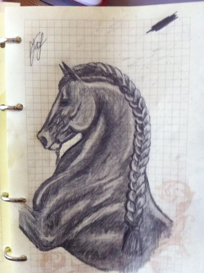 Horse drawings - Horses, Pencil drawing, Drawing, Longpost