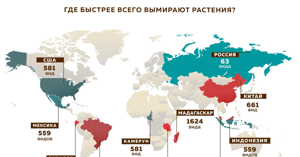 Где сразу. Статистика вымирания растений. Статистика растений в мире. Численность исчезающих видов растений. График вымирание видов растений.