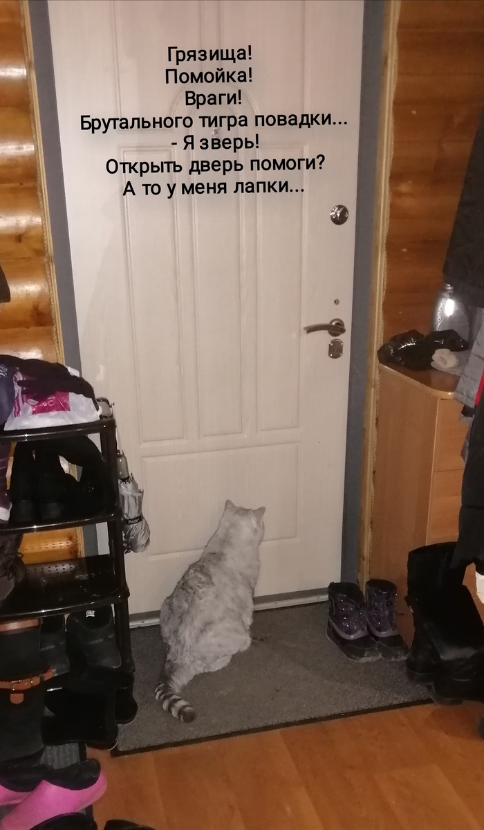 А у кого-то всю жизнь карантин)