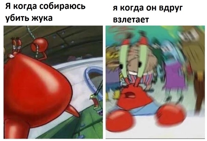 �� �����