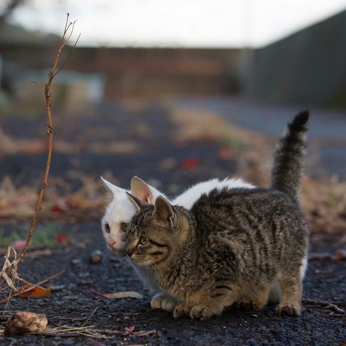 ��������� ������