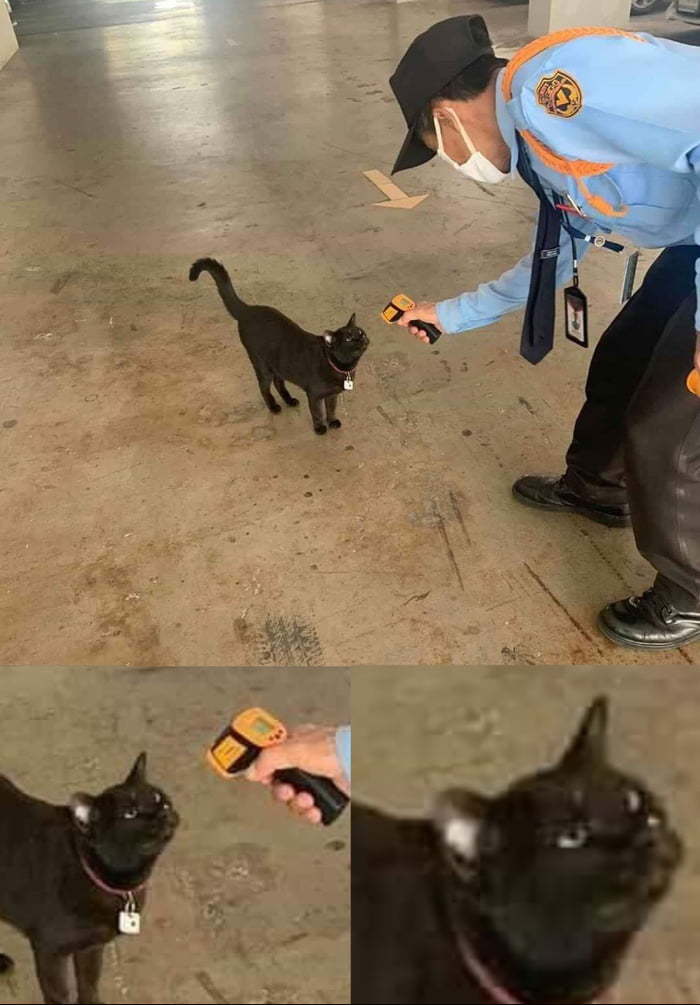 Как смеешь, раб?!