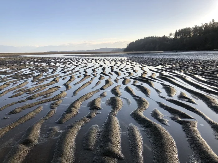 Low tide - My, Ocean, Water, Low tide, Sand, Shore