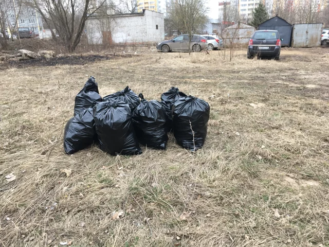 “You have to start with yourself... don’t look at others, they said” - My, Pure Man's League, Cleaning, Disgusting, Garbage, Don't litter!, Longpost