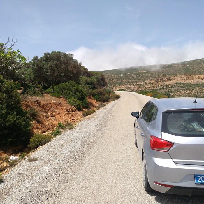 Аренда автомобиля и поездка по Тунису