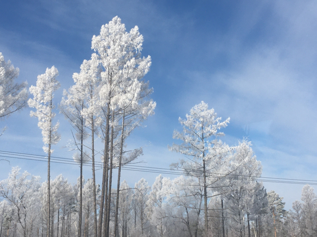 Spring vs Winter - My, Spring, Winter, Confrontation, Longpost