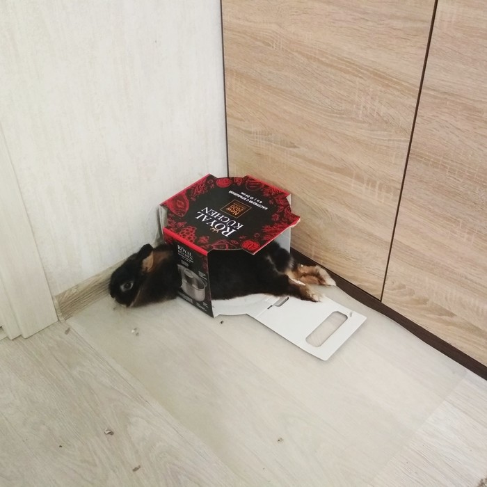         , , 