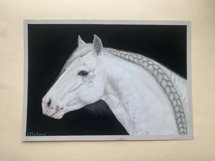 I drew another picture. Titan, Tinker stallion - My, Horses, Dry pastel, Tinker, Pencil drawing, Drawing, Pastel, Animalistics, Animals