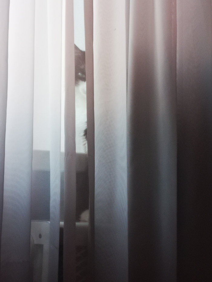 ��� ������ ������� �� ���