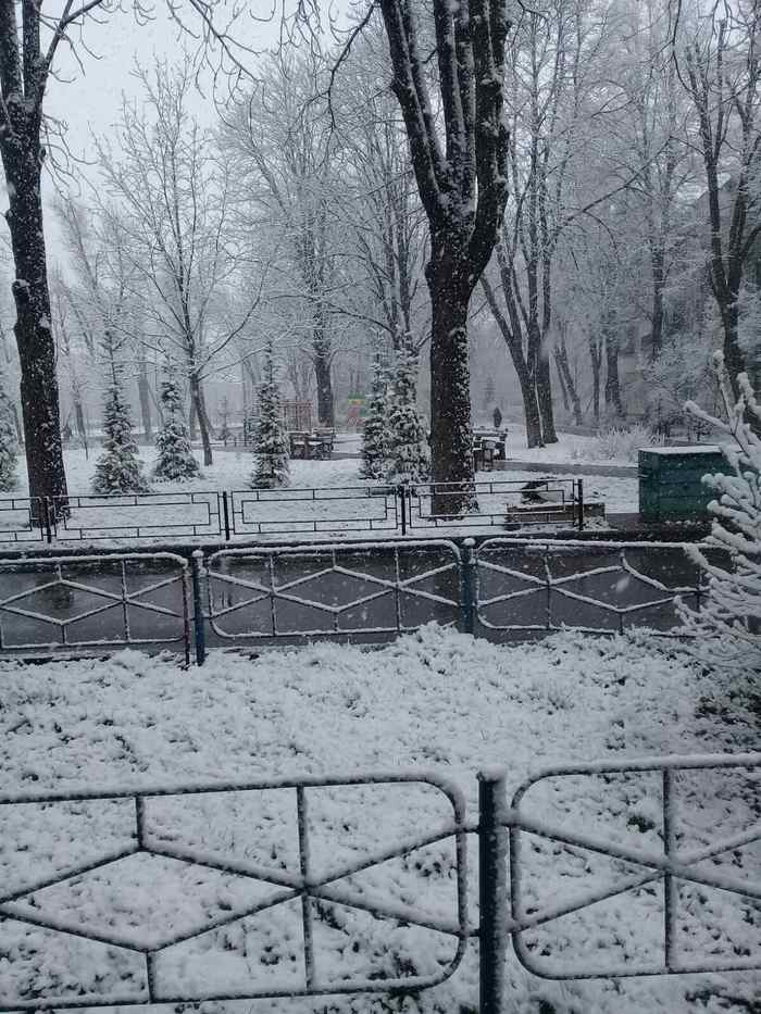 February 51, Kyiv. Spring is in full swing - My, Spring, Kiev, Snow