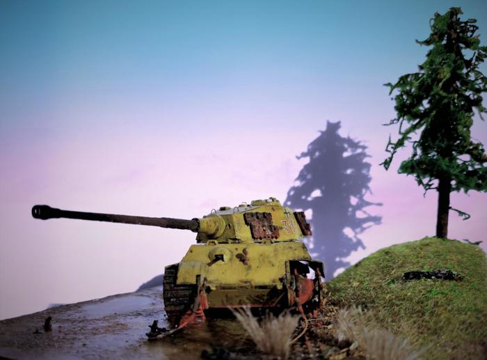 Diorama Unfortunate King (Tiger II) - My, Stand modeling, Diorama, Tanks, Tiger, Tiger II, Tiger 2, Video, Longpost
