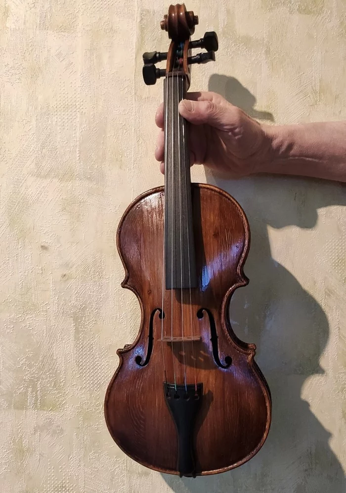 DIY violin - My, With your own hands, Violin, Music, Longpost