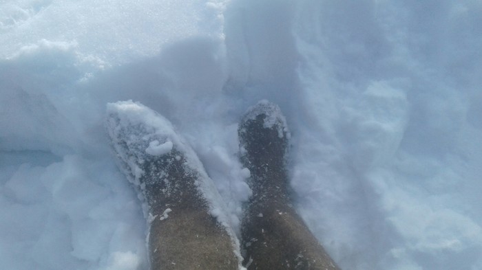 March:) - My, Felt boots, Spring, Snow, Shoes, Climate, Weather, Humor, North