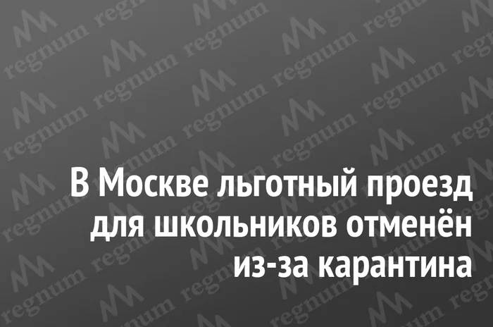 In Moscow, discounted travel for schoolchildren has been canceled due to quarantine - news, Moscow, Privileges, Children, Pupils, Free travel, Eeyore regnum, Coronavirus