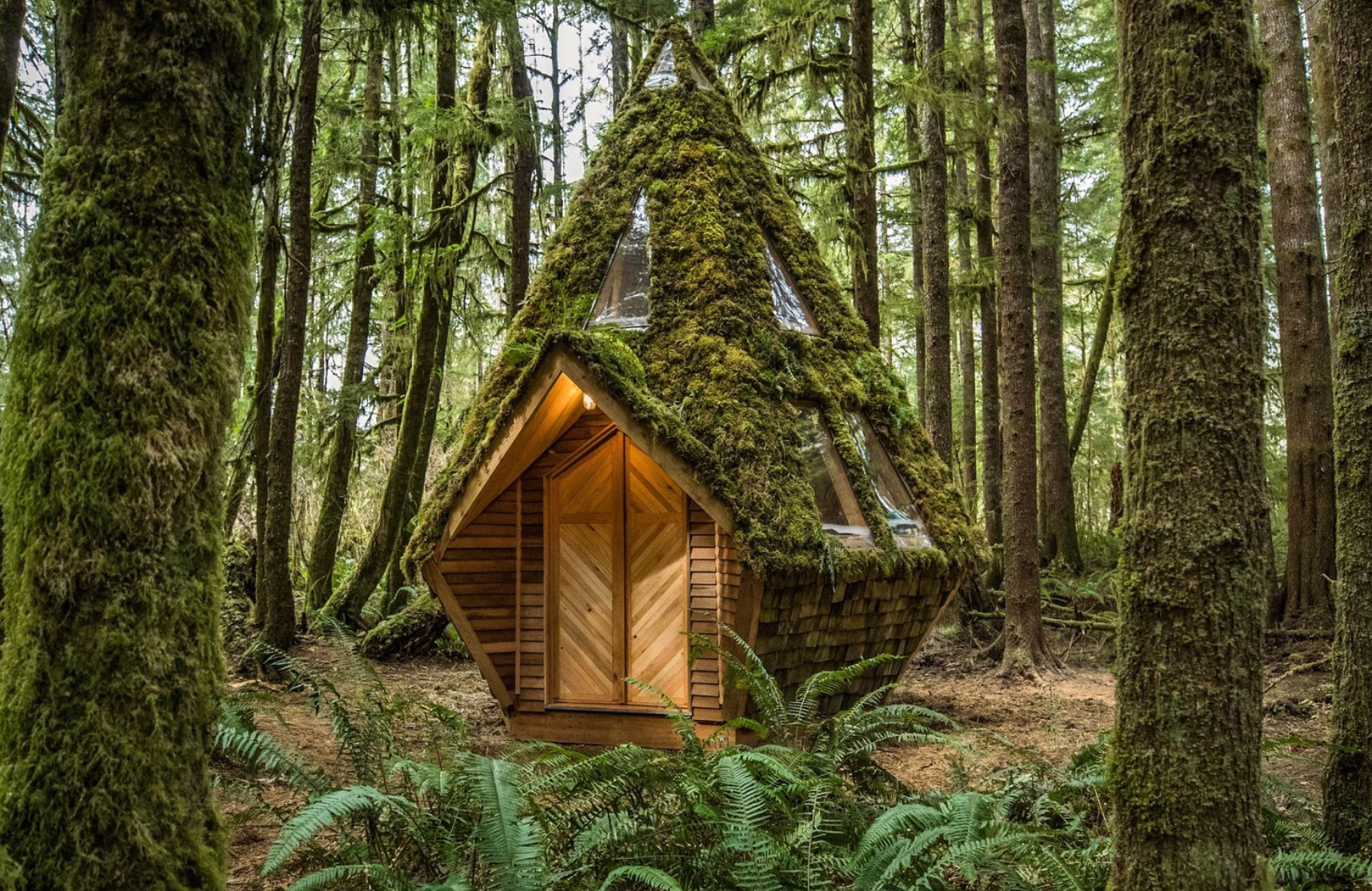Тини хаус треугольник. Необычные лесные домики. Друскининкай лес избушка. Деревянный домик в лесу. Эндрю геллер дом шалаш внутри.