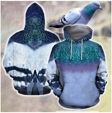 Spring has come, let's dress up in outfits so that it is convenient to peck the seeds. Bird memes - My, Memes, Cloth, Humor, sweatshirt, Pigeon, China, Wings, Longpost