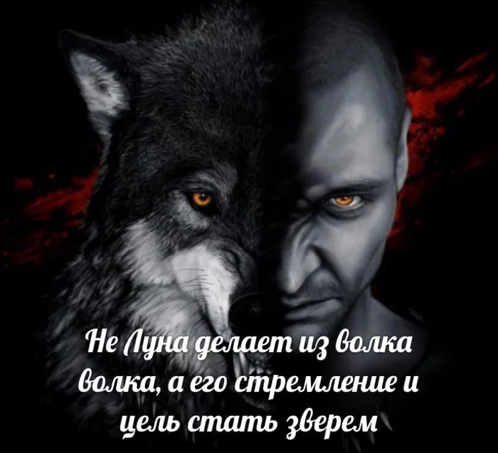 As Oleg already comprehended by the wolf - My, Wolf, Power, Will, Pursuit