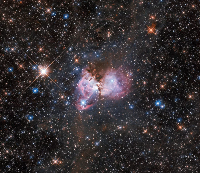 Stellar cradle on the outskirts of the Tarantula Nebula - The photo, Space, Pictures from space, Universe, Nebula, Astronomy