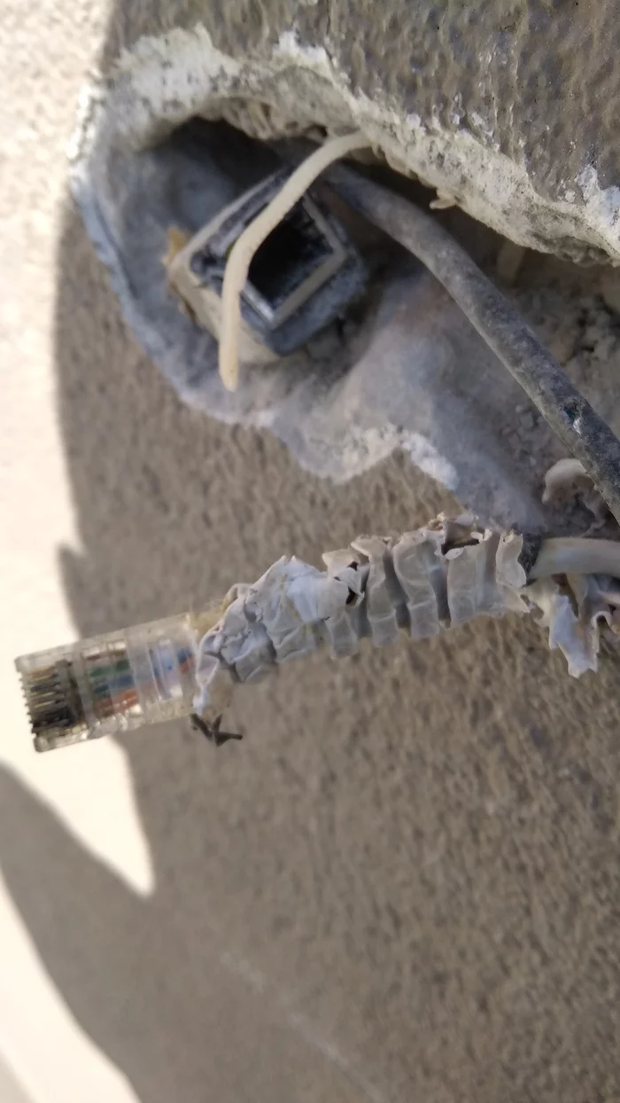 How a bricked-up connector oxidized - My, Connector, Rj-45, Oxides, Longpost